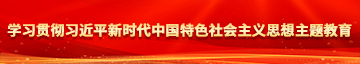 大鸡巴操比网站学习贯彻习近平新时代中国特色社会主义思想主题教育